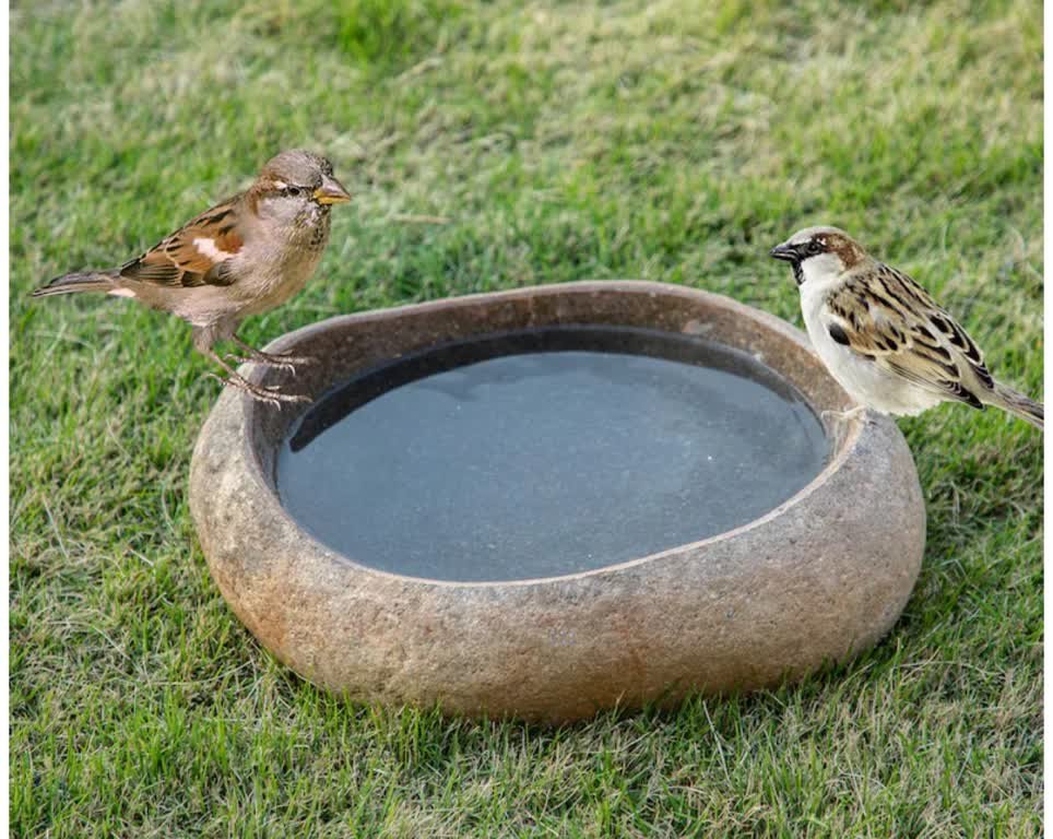 Critter Water Stone Bowl